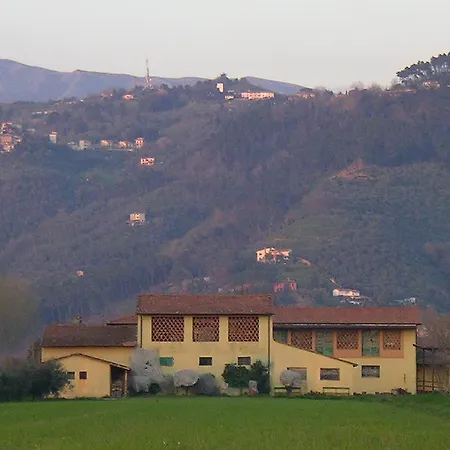 Il Chicco D'Oro Apartment Massarosa Exterior photo