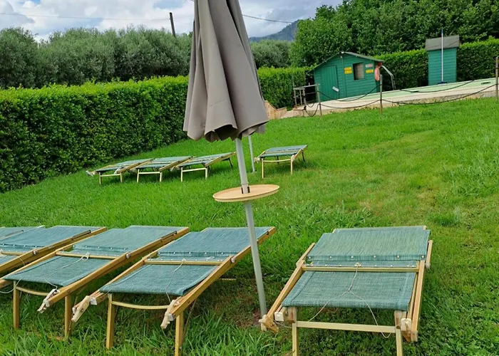 Il Chicco D\'Oro