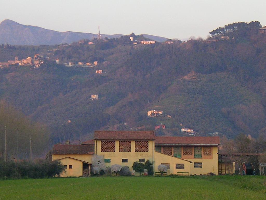 Il Chicco D'oro